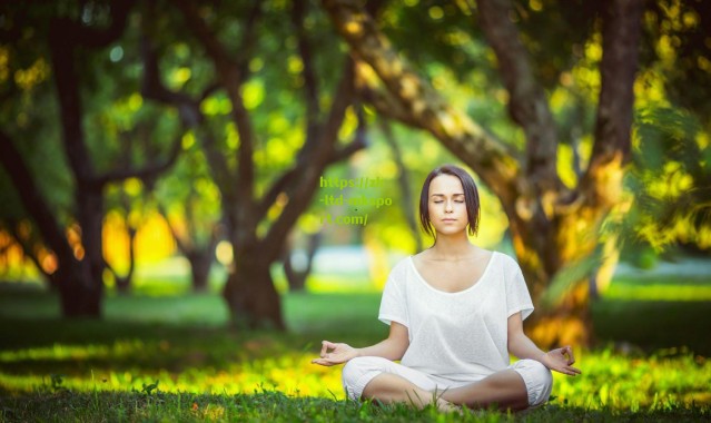 秦游夏，传奇谢幕，请让罗伊斯带着欧冠奖杯离开