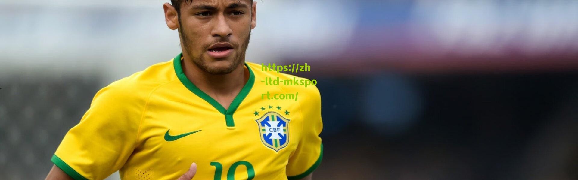 瑞典队主帅确认伊布无缘欧洲杯，盼他尽快回到赛场