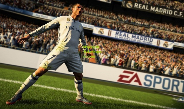 广州龙狮更新夏联动态，捕捉到一只认真观赛的帅伦儿